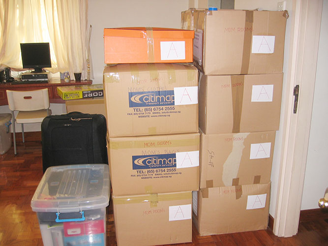 Packing & Unpacking Service